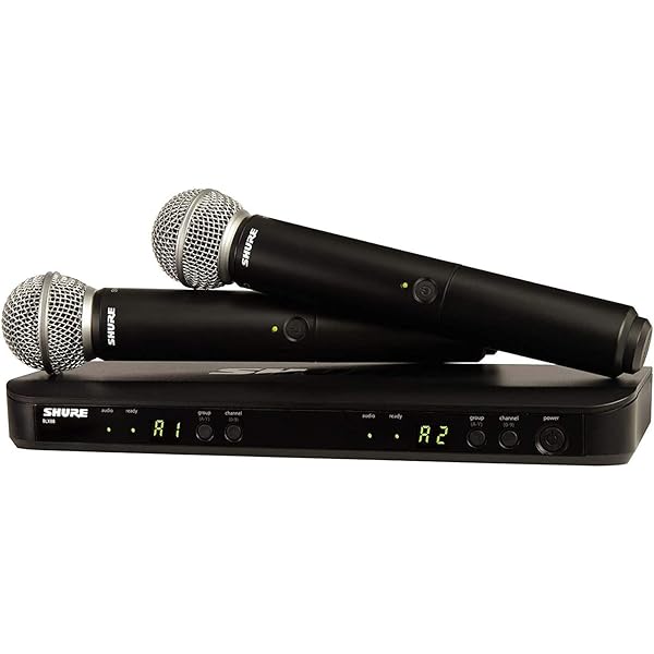 Amazon.com: Tankenlid Wireless Mic Case - Hard Shell Case